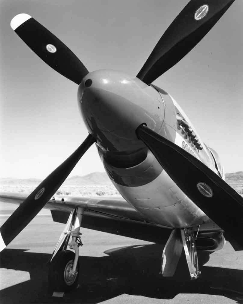 Mustang #3