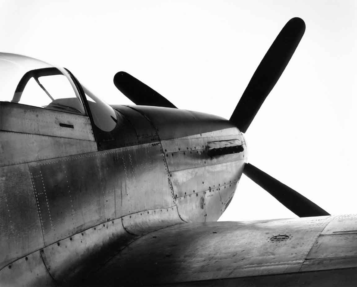 P51d