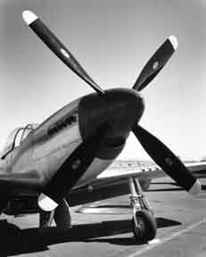 Mustang #2