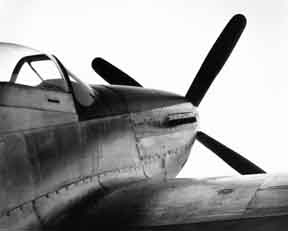 P51d
